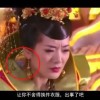 word的动词意思
